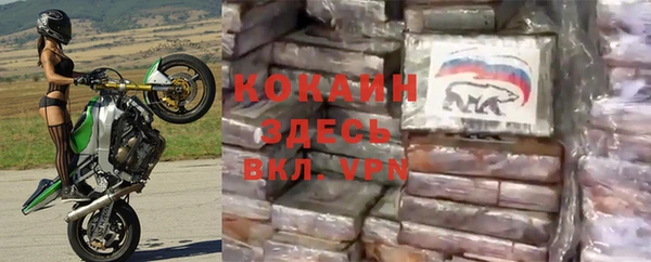 трава Абаза