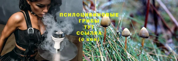 дживик Абинск