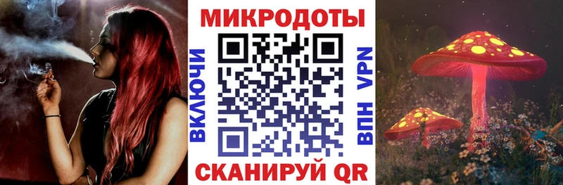 блэк спрут маркетплейс  купить закладку  Котовск  Псилоцибиновые грибы Magic Shrooms 